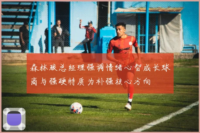 森林狼总经理强调情绪心智成长球商与强硬特质为补强核心方向